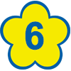 HOA SO 6
