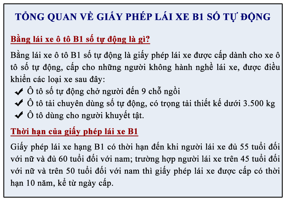 Tong-quan-ve-giay-phep-lai-xe-b1-h1 bằng lái xe ô tô b1 số tự động là gì?